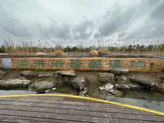 -泗洪洪泽湖湿地景区