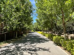 -大兴滨河森林公园