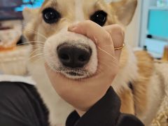 -成都港伦凯艺酒店(东郊记忆理工大学店)