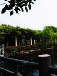 -长沙小顽国景区