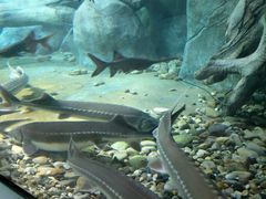 -福州罗源湾海洋世界旅游区