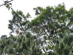 -深圳野生动物园