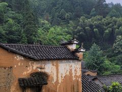 -杨家堂村