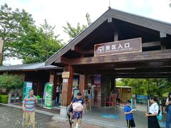 -大湾区中央湿地公园