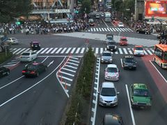 -涩谷全向十字路口