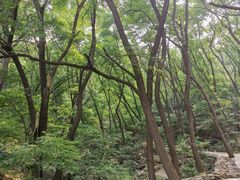 -封龙山风景区