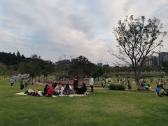 -牛岗山公园
