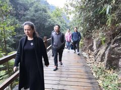 -九龙江国家森林公园