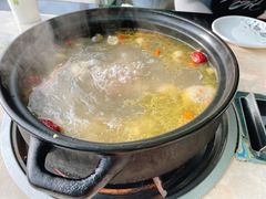 鸡汤锅底-蘑统田下·野生菌火锅