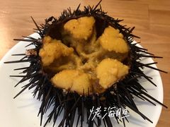 -海胆小馆(东北水饺·春柳店)