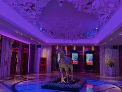 -纯K(打浦桥店)