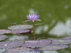 -国家植物园南园