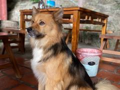 -东南悬空寺方广岩