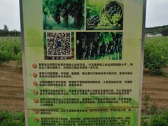 景点-北京张裕爱斐堡酒庄