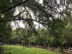 -四川大学(华西校区)