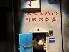 -屋有岛沉浸游戏旗舰店(中山公园店)