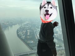 -广州塔璇玑地中海自助旋转餐厅