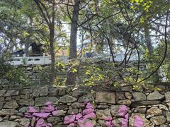 -大芦花风景区
