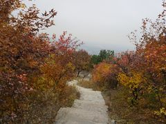 -北京西山国家森林公园