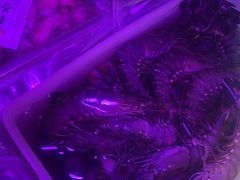 -大洋家·精品潮汕菜·生腌砂锅粥(天河东路店)
