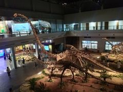 -自贡恐龙博物馆