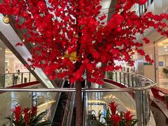 -莲花国际广场
