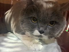 -久久宠物(河东万达店)