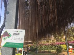 -长廊欢乐园