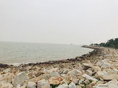 -野狸岛