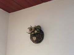 -蘇河湾·新鲁菜·泰山宴(宝龙店)