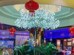 -润园四季椰子鸡火锅(海上世界店)