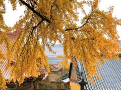 -宝通禅寺