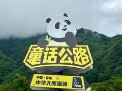 -卧龙中华大熊猫苑神树坪基地