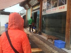 -蘑统田下·野生菌火锅