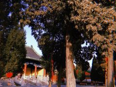 -历代帝王庙博物馆