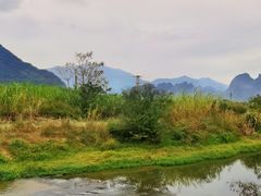 -银峰农庄·特色烧鸡·鲜无花果浸鸡
