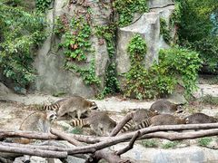 -宁波野生动物园