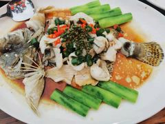 -猪肉婆私房菜(容桂总店)