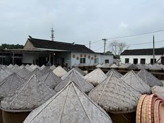 -苏州市吴中区光福窑上花果蜜饯厂