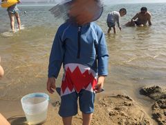 -碧海金沙