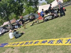 -九科绿洲