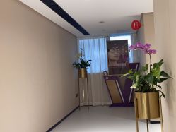 -广东韩妃整形外科医院