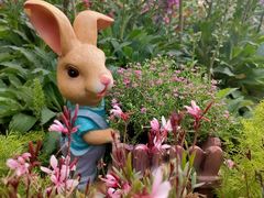 -人民公园(罗湖区)