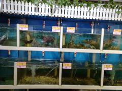 水产区-鑫悦楼煎蟹·16年海鲜大排档