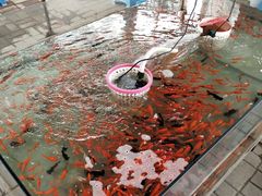 -丰台花园