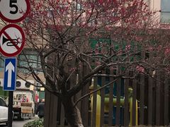 -浙江大学医学院附属第一医院(庆春院区)
