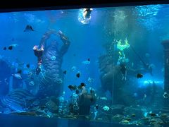 -哈尔滨波塞冬海底世界
