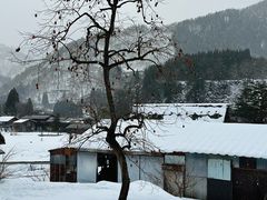 -白川乡与五箇山的合掌构造村落