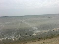 -北海金海湾红树林生态旅游区