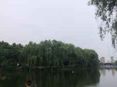 -东华大学(松江校区)